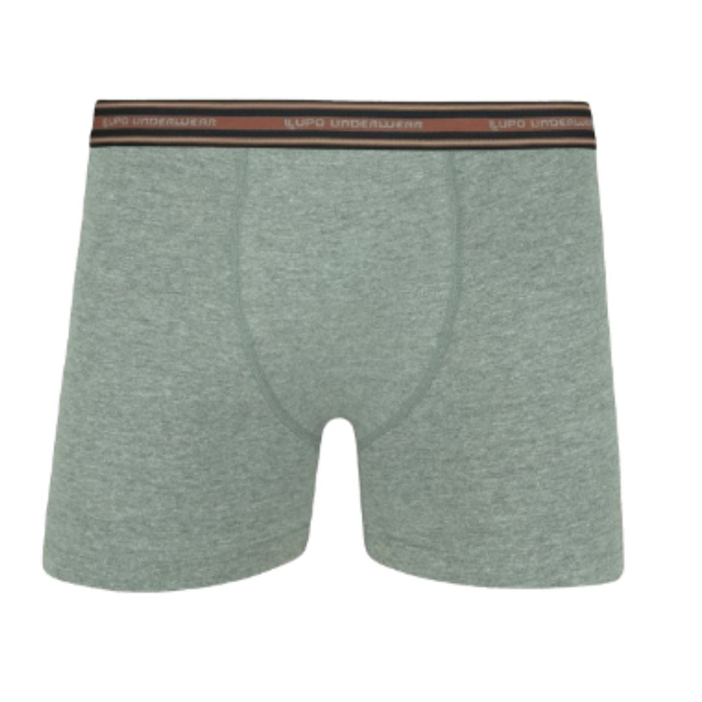 Cueca Boxer Algodão Elástico Personalizado Lupo