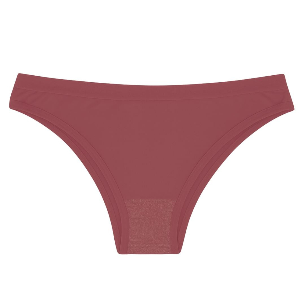 Calcinha Estilo Biquíni Lisa Em Microfibra Altomax