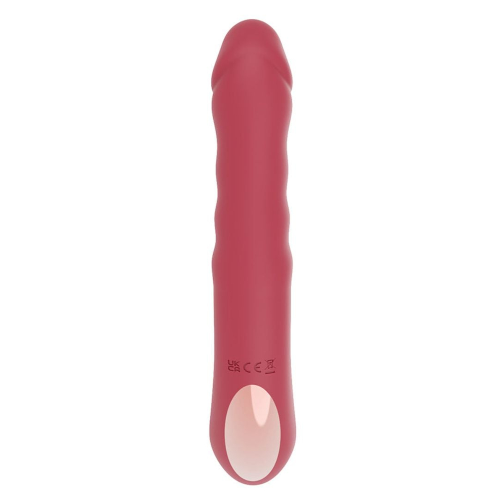 Vibrador Ponto G 10 Modos De Pulsação E 10 Modos De Vai E Vem Vibe Toys