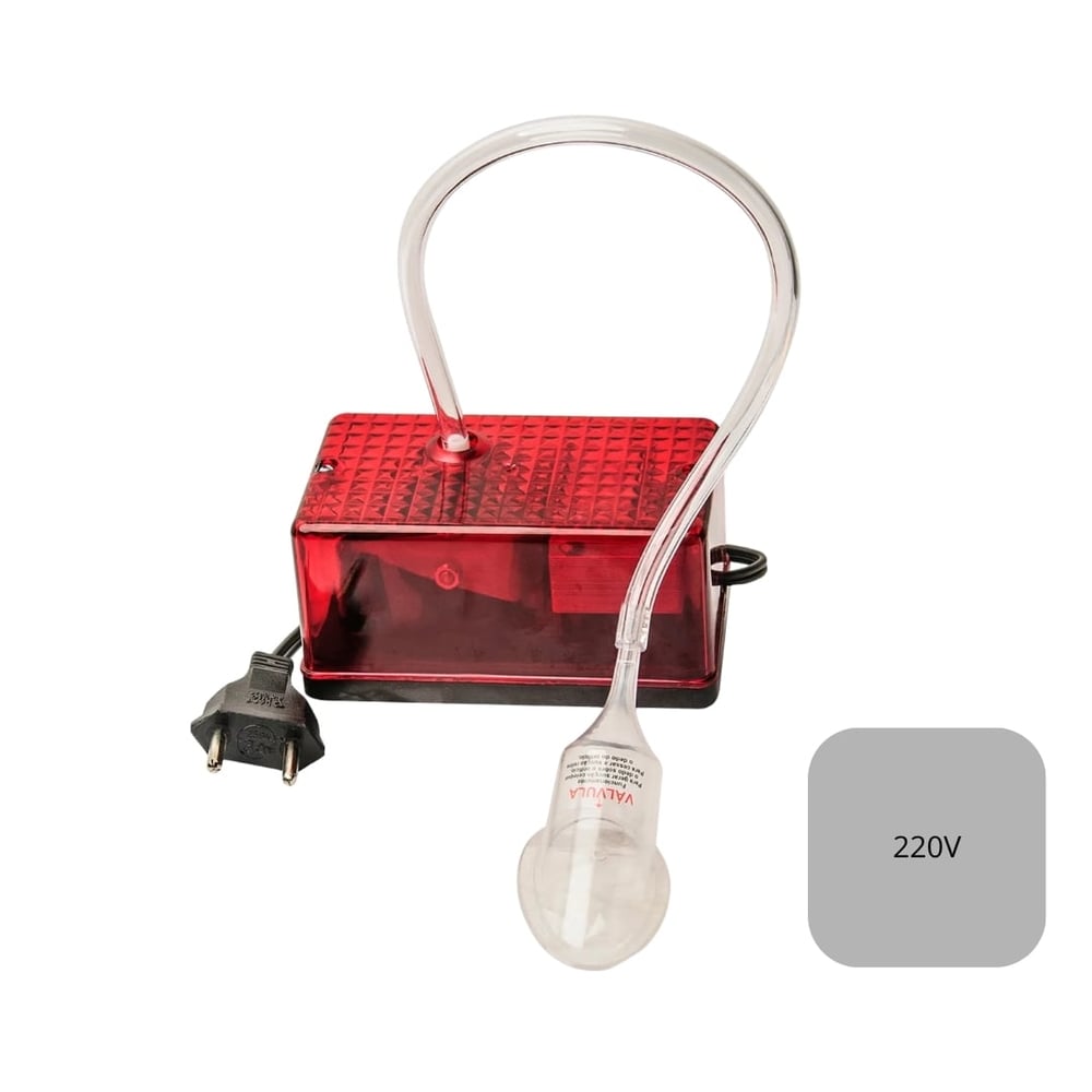 Bomba Clitoriana Elétrica Hot Flowers