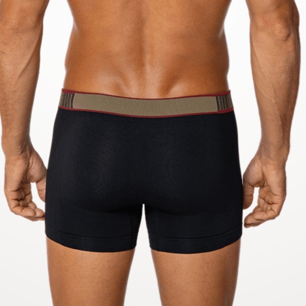 Cueca Boxer Microfibra Sem Costura Lupo
