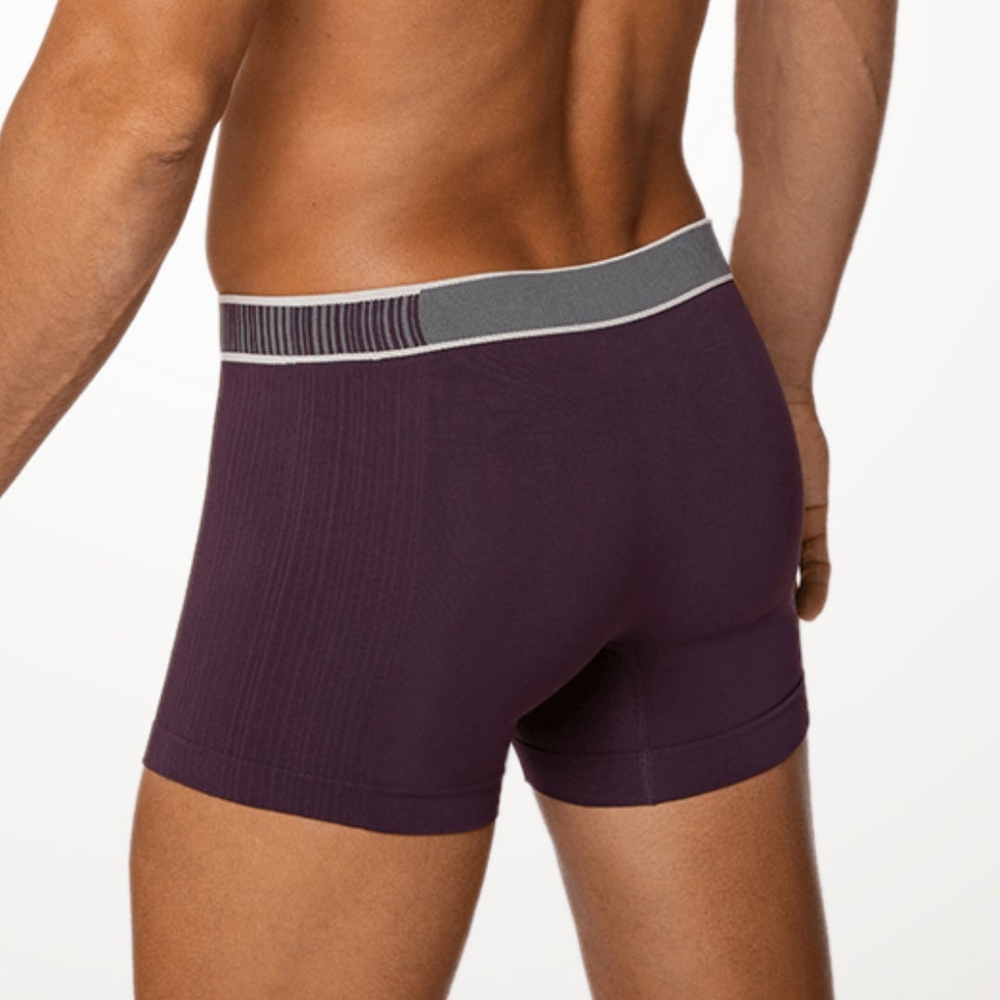 Cueca Boxer Microfibra Sem Costura Lupo