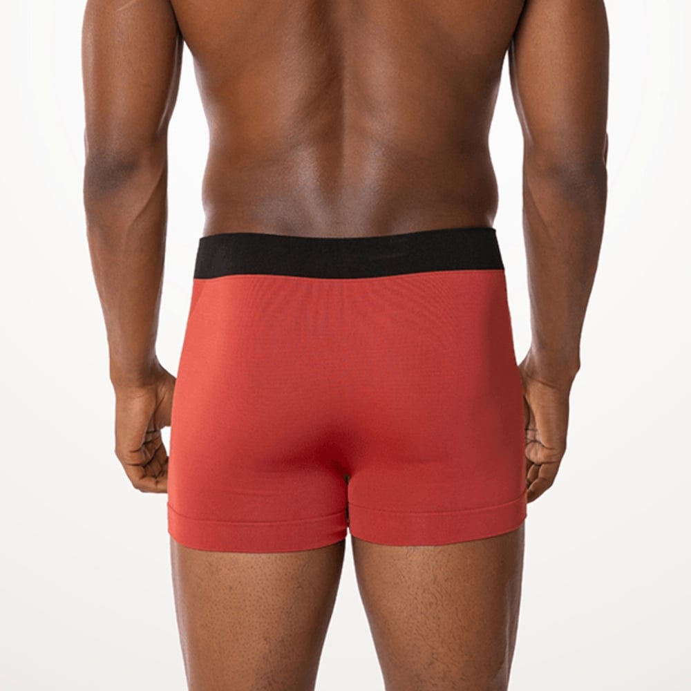 Cueca Boxer Microfibra Sem Costura Astral Lupo
