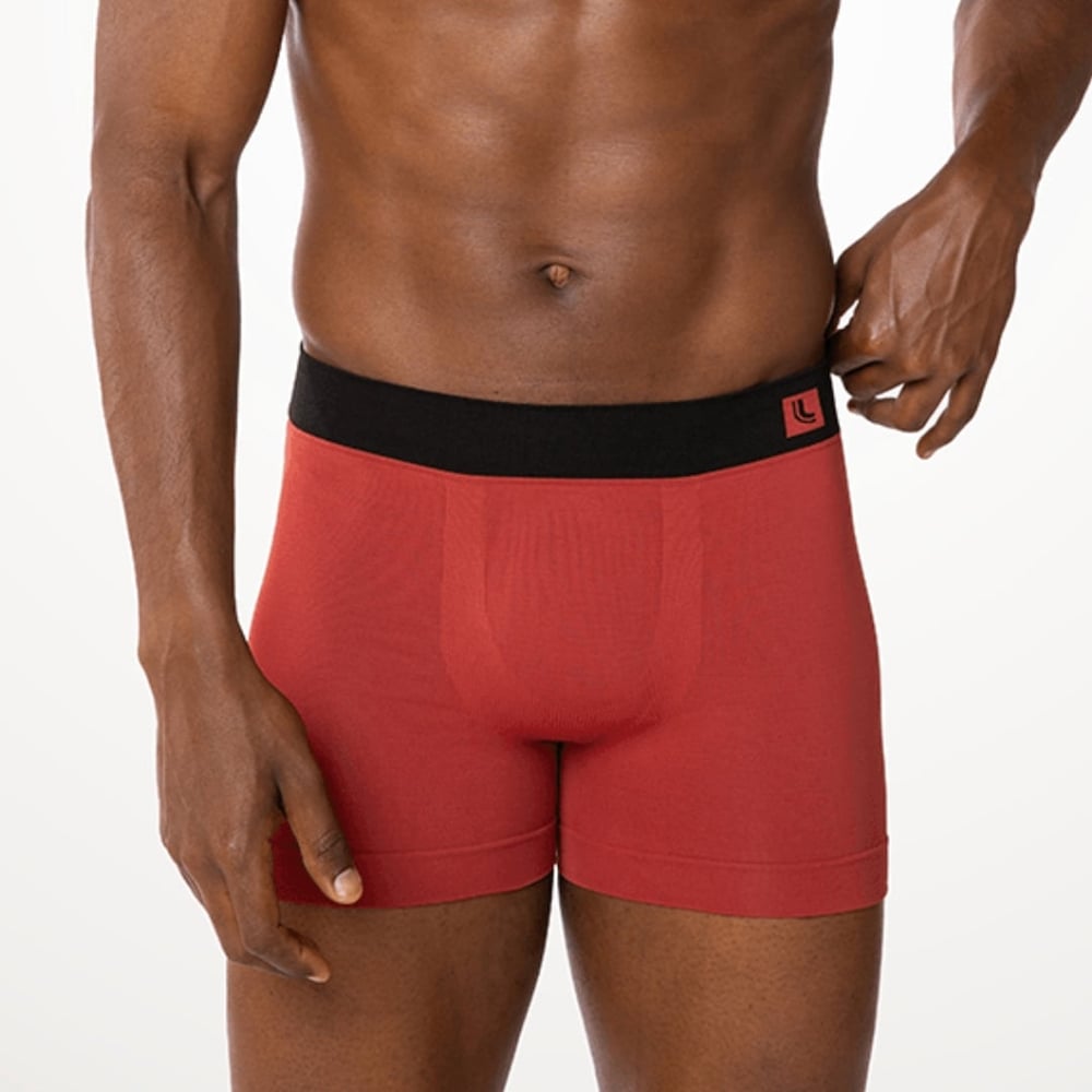 Cueca Boxer Microfibra Sem Costura Astral Lupo