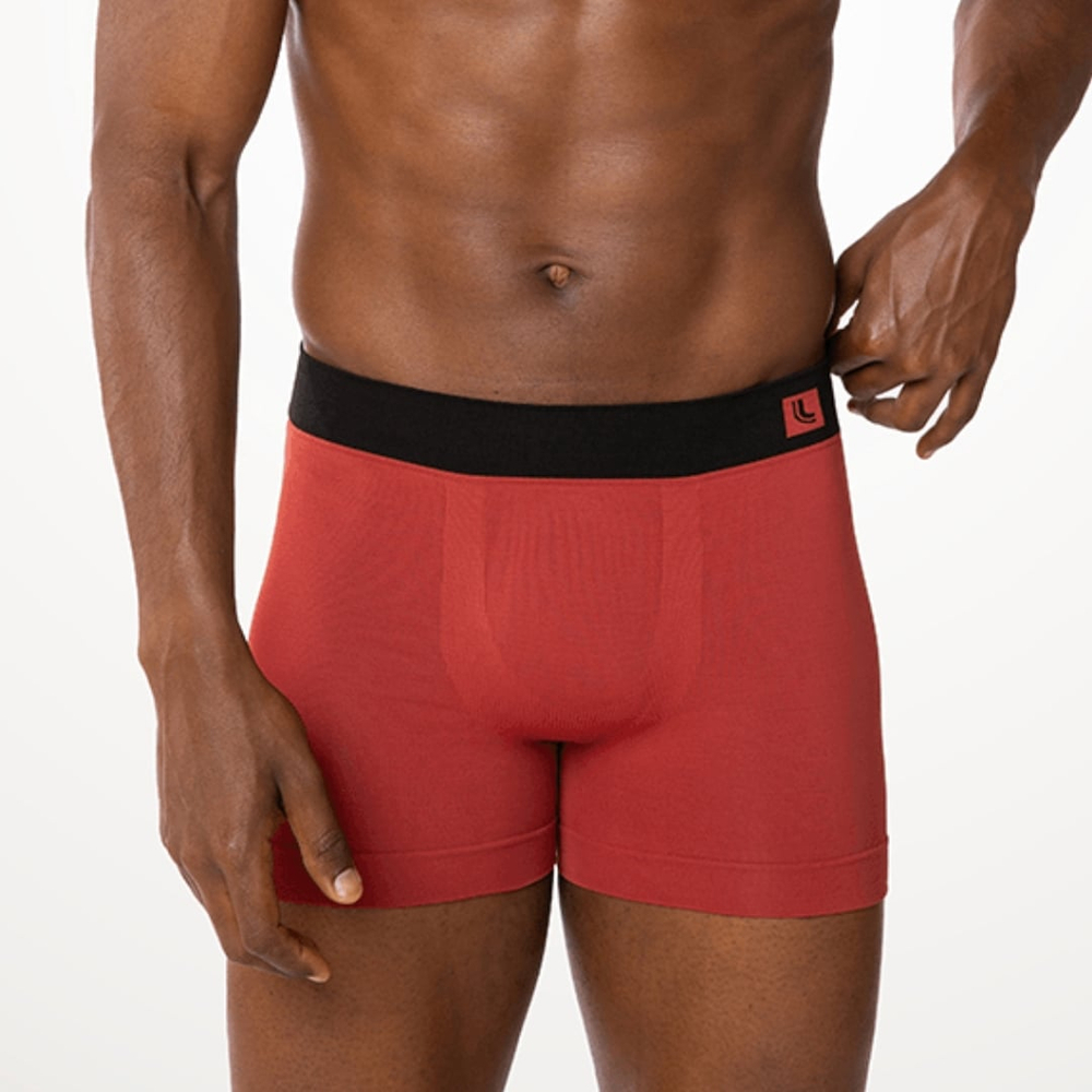 Cueca Boxer Microfibra Sem Costura Astral Lupo