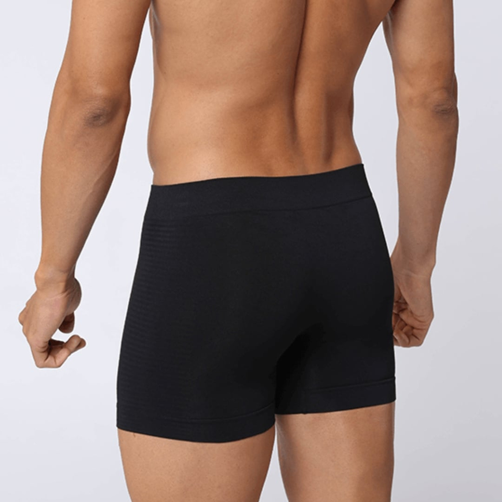 Cueca Boxer Sem Costura Em Microfibra Lupo