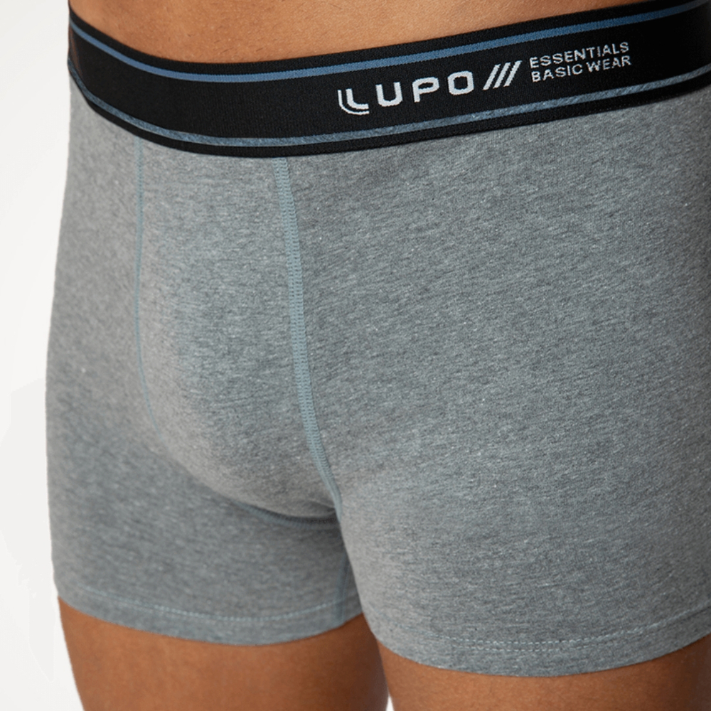 Cueca Boxer Adulto Algodão Com Elastano Lupo