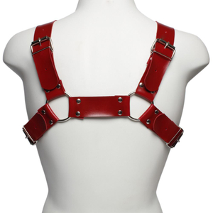 Arreio Aquiles Harness Dominatrix