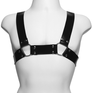 Arreio Aquiles Harness Dominatrix