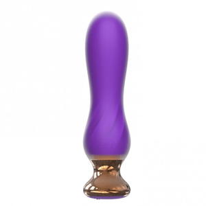 Plug Anal Return Em Silicone Com Controle Sem Fio 10 Vibrações Imoon