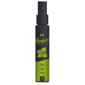 Lambuze Gel Beijável Para Massagem Hot 55ml Intt