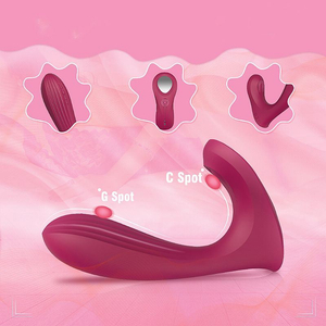 Vibrador Whale Duplo Silicone 9 Modos De Vibração Shande