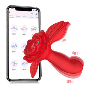 Vibrador Ponto G Aurora 10 Vibrações E Rotação App Control Vibe Toys