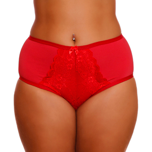 Calcinha Plus Size Em Microfibra Com Detalhes Em Renda Dy Girl