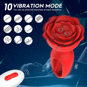Plug Anal Austin Ii Com Controle Remoto 9 Modos De Vibração Vibe Toys