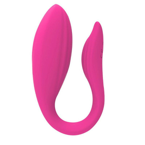 Vibrador De Casal Com Controle 12 Modos De Vibrações Ariel Vibe Toys