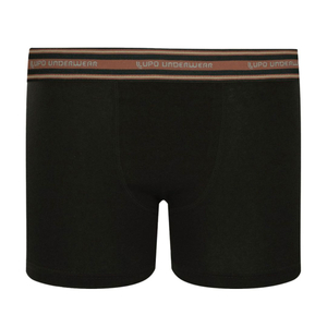 Cueca Boxer Kids Algodão Com Elastano Lupo