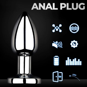 Plug Anal Com Controle Vibe Toys