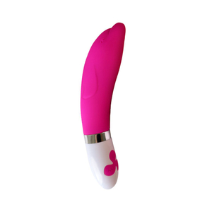 Vibrador Ponto G Golfinho 15 Modos De Vibração E 3 Intensidades Youvibe