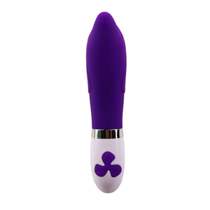 Vibrador Ponto G Golfinho 15 Modos De Vibração E 3 Intensidades Youvibe