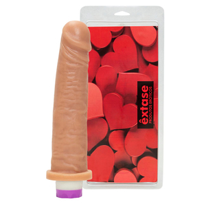 Prótese Com Vibrador Interno 20 X 4,5cm êxtase