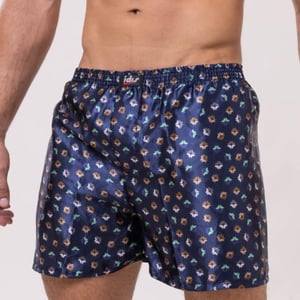 Cueca Samba Canção Estampada De Seda Idis Lingerie