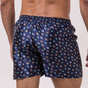 Cueca Samba Canção Estampada De Seda Idis Lingerie