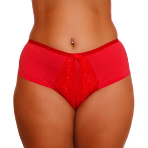 Calcinha Cintura Dupla Microfibra Com Renda Plus Size Dy Girl