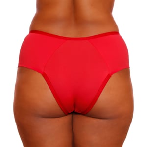 Calcinha Cintura Dupla Microfibra Com Renda Plus Size Dy Girl