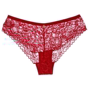 Calcinha Em Renda Com Transparência Vaydosa