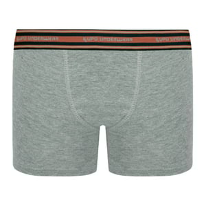 Cueca Boxer Kids Algodão Com Elastano Lupo