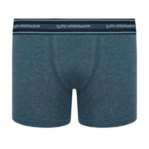 Cueca Boxer Kids Algodão Com Elastano Lupo