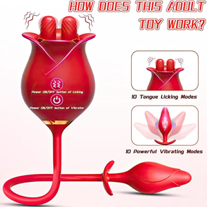 Vibrador Duplo Flexível Rose Com Plug Anal 10 Modos De Estimulação E Vibração Vibe Toys