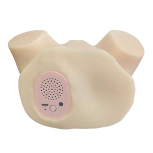 Masturbador Gina Com Gemidos Vagina E ânus Penetráveis