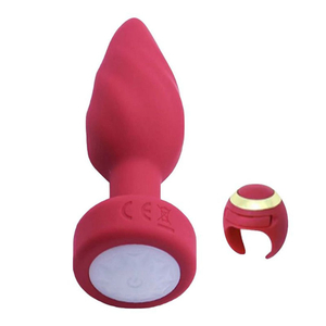 Plug Anal Com Touch E Controle Remoto Em Formato De Anel Vibe Toys