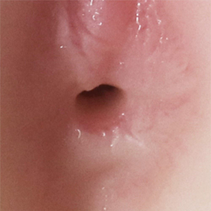 Masturbador Realista James Com ânus E Escroto Crazy Lion