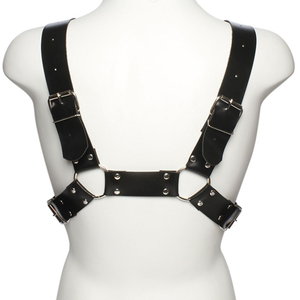 Arreio Anteros Harness Dominatrix