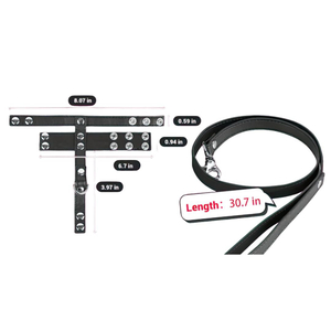 Anel Peniano De Couro Com Guia Para Bondage Vibe Toys