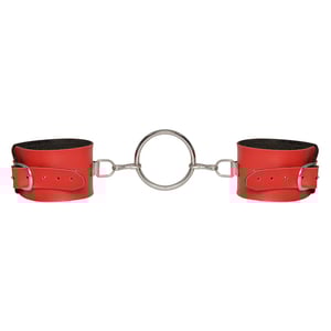 Algema Argola Metal Dominatrix