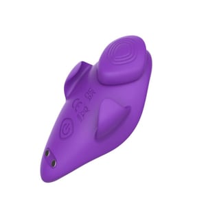 Vibrador De Calcinha Feiyan 9 Modos De Vibração Com Controle Remoto