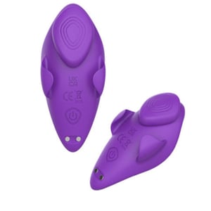 Vibrador De Calcinha Feiyan 9 Modos De Vibração Com Controle Remoto