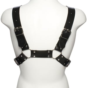 Arreio Anteros Harness Dominatrix