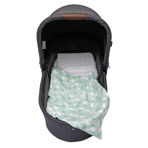 Cueiro Flanelado Papi Estampado 80cm X 60cm Contem 03 Un