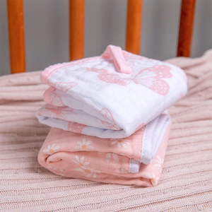 Paninho De Boca Papi Soft Com Prendedor De Chupeta Estampado 40cm X 40cm 02 Un