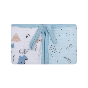 Paninho De Boca Papi Soft Com Prendedor De Chupeta Estampado 40cm X 40cm 02 Un