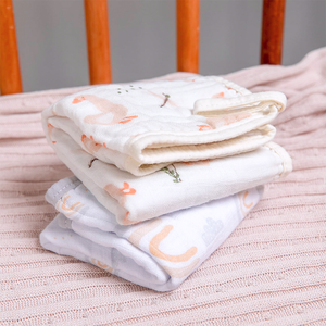 Paninho De Boca Papi Soft Com Prendedor De Chupeta Estampado 40cm X 40cm 02 Un