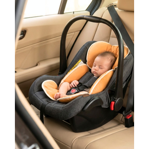 Capa Anatomica Para Bebe Conforto E Carrinho Bordados Papi Tamanho único Contem 01 Un