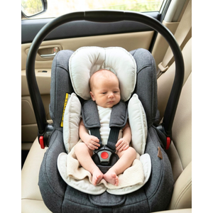Capa Anatomica Para Bebe Conforto E Carrinho Bordados Papi Tamanho único Contem 01 Un