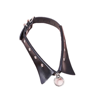 Fetiche Bondage Coleira com Guia