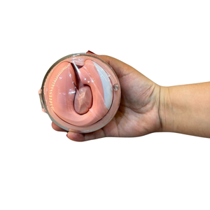 Vibrador de Clitóris com Potente Sugador e Estimulador Ponto G com Case de Carregamento